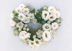 5.12 | 国际护士节，预祝5.14 | 母亲节快乐！