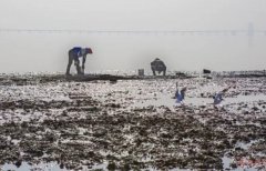 厉害了wuli青岛！厉害了wuli红岛！！