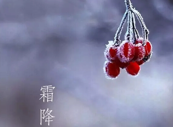 91天媒传媒mv在线视频