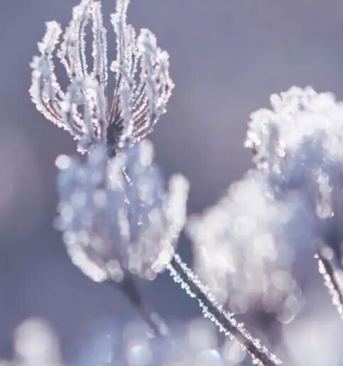 91天媒传媒mv在线视频