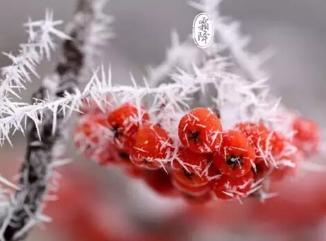 91天媒传媒mv在线视频