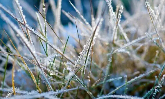 91天媒传媒mv在线视频