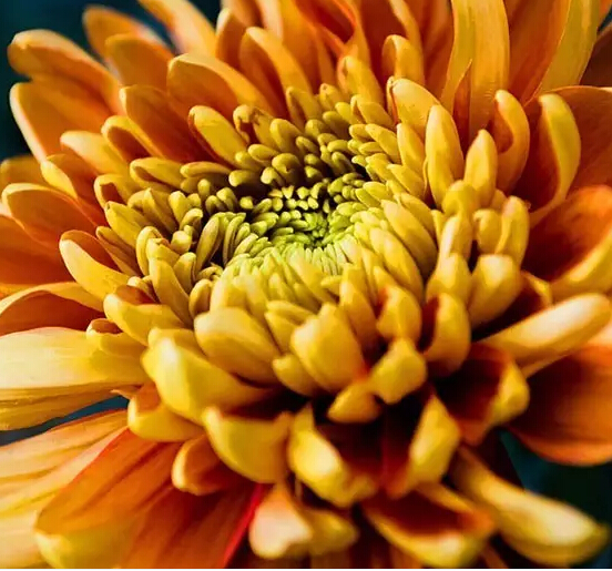 91天媒传媒mv在线视频