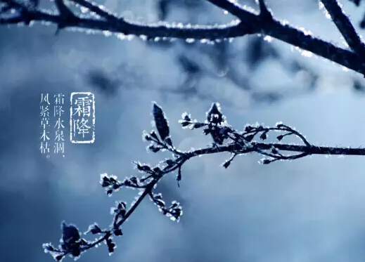 91天媒传媒mv在线视频