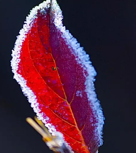 91天媒传媒mv在线视频