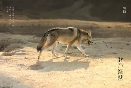 91天媒传媒mv在线视频