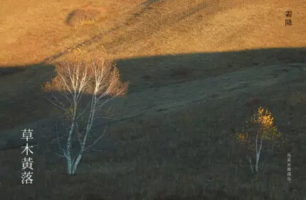 91天媒传媒mv在线视频