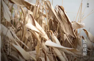 91天媒传媒mv在线视频