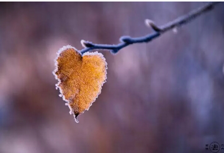 91天媒传媒mv在线视频