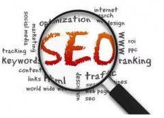 网站SEO优化效果该如何检测？