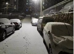青岛！大雪！大爱！