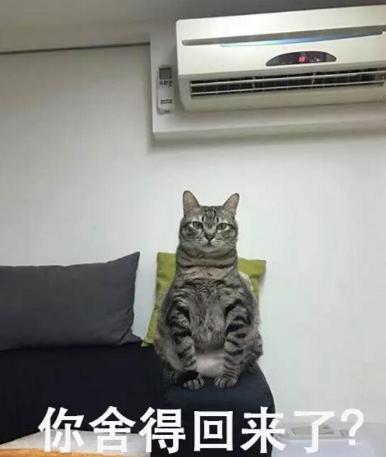 91天媒传媒mv在线视频