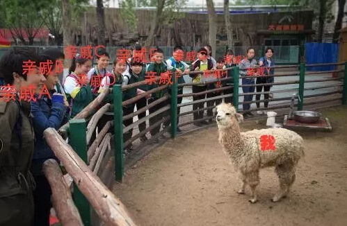 91天媒传媒mv在线视频