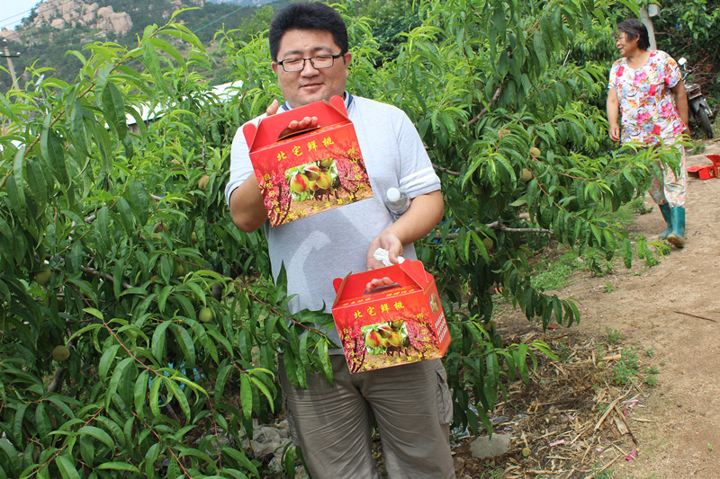 91天媒传媒mv在线视频