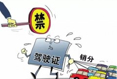 青岛的朋友们注意啦，9月起禁止使用他人驾照销