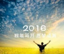 个人网站建设、方案与定位