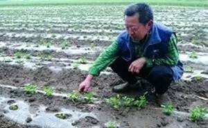 91天媒传媒mv在线视频