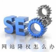 百度调整后SEO优化应该如何做