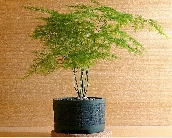 91天媒传媒mv在线视频