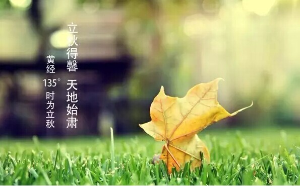 91天媒传媒mv在线视频