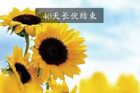 91天媒传媒mv在线视频