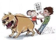 青岛10月份一大波劲爆消息，你知道吗？