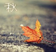 别被秋凉伤了身！人的这三个部位冻不得！