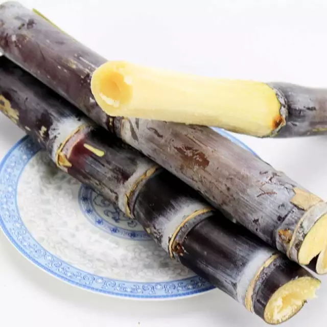 91天媒传媒mv在线视频