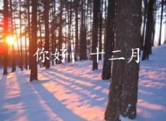 抓住2016年的尾巴给自己充充电！12月，加油！