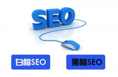 网站百度排名优化,白帽seo优化,客户最关心问题解