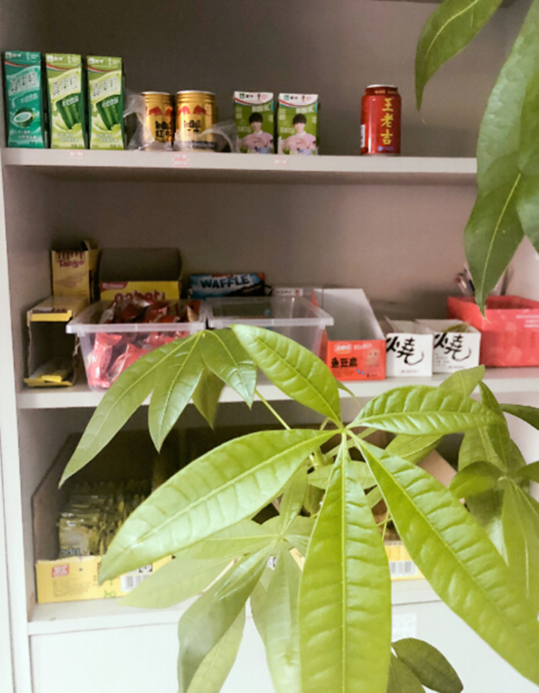 91天媒传媒mv在线视频