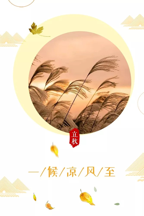 91天媒传媒mv在线视频