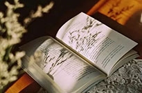 2019网络流行语盘点