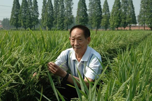 91天媒传媒mv在线视频